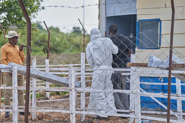 Brote de ébola se expande y se abre inscripción para participar en ensayo de tratamientos