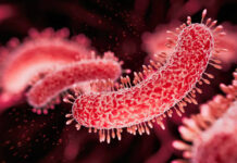 Brote de una bacteria ambiental ya suma 23 casos y 17 hospitalizados en Nueva York