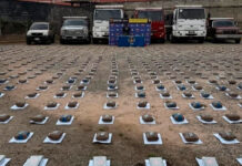 CPNB incautó más de 470 kilogramos de drogas en el estado Mérida