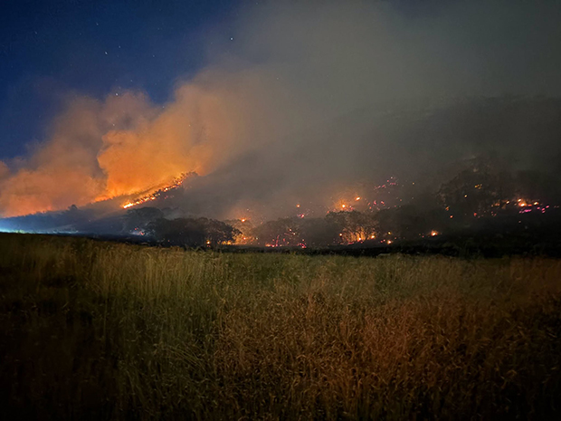 Cancelan 20 vuelos en Puerto Rico por los incendios de Canadá que afectan el este de EEUU
