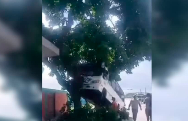 Chofer-de-transporte-público-chocó-contra-un-árbol-luego-de-donar-sangre-en-Barquisimeto