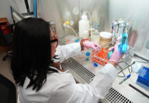 Científica nicaragüense lidera en EE. UU. estudio de células azucaradas contra el cáncer