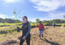 Comuna Río Cataniapo reforesta cuencas con 250 especies locales en Amazonas