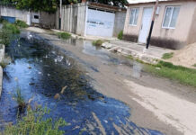 Denuncian colapso de aguas residuales en calles de La Pica