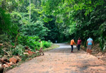 Despejada en su totalidad carretera El Limón – Ocumare de la Costa