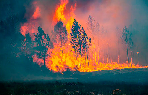 Dos-grandes-incendios-avanzan-en-Francia