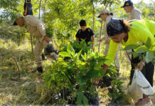 El Henri Pittier se viste de verde tras jornada de reforestación en MBI