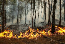 El megaincendio de Gironda mantiene en alerta a Francia pese a la situación estabilizada