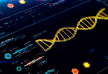 El uso de la IA para diseñar proteínas nuevas amplía las herramientas de edición genética