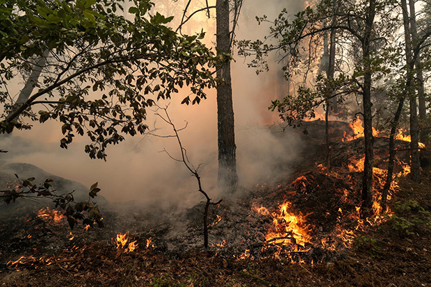 Francia eleva a casi 40.000 las hectáreas calcinadas por los incendios en lo que va de año