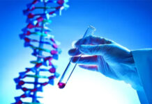 Hallan una prueba genética que confirma que los europeos llevaron la viruela a América