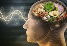 La alimentación como aliada para fortalecer el cerebro