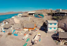 Llegaron en bote a una isla desierta y la transformaron en su hogar