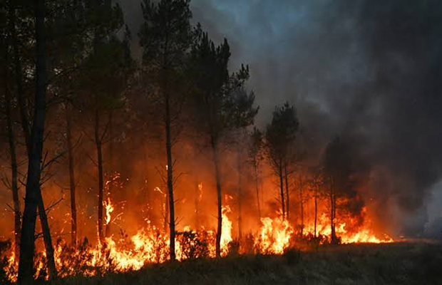 Los incendios arrasan un 32 % más de superficie forestal en la UE que hace un año