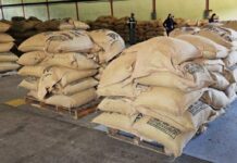 Mérida envía 19,2 toneladas de café a Bélgica y supera las 540 toneladas exportadas