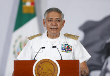 México invertirá 115 millones de dólares para reforzar el combate al sargazo en el Caribe
