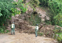 Paso vehicular Mérida-Barinas quedó restringido por las fuertes precipitaciones