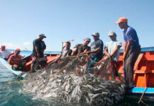 Pescadores de Nueva Esparta envían pescado para los afectados de La Guaira