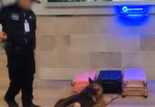 Policía de Ecuador incauta cocaína oculta en maletas con destino a República Dominicana