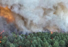 Remite ola de calor en Francia mientras siguen labores extinción incendio de Fontainebleau