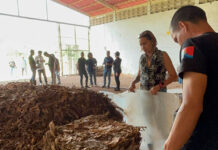 Sector agroproductivo de Revenga se fortalece con la producción de tabaco