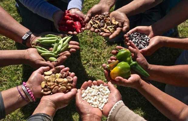Segib Latinoamérica liderará producción mundial de alimentos