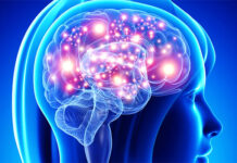 Seis hábitos esenciales para cuidar la salud cerebral