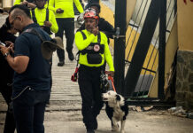 Tsunami y el equipo de Perros Extremos llevaran alegrías a refugiados de La Guaira