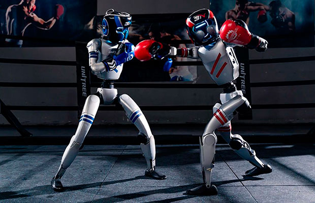 Un-torneo-de-lucha-entre-robots-humanoides