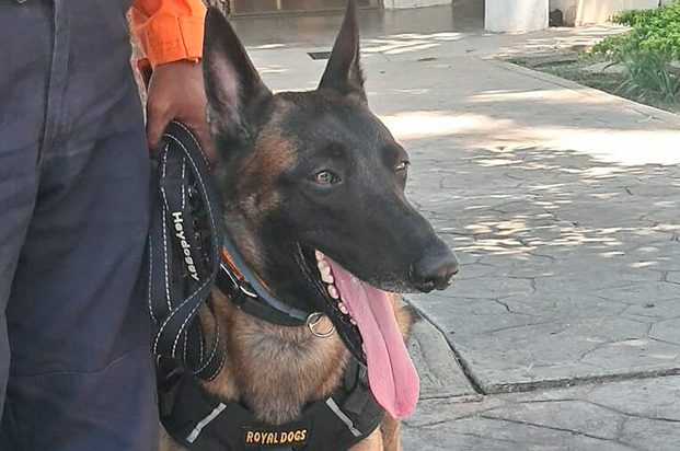 Unidad-canina-de-PC-Aragua