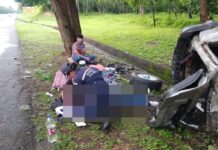 Varios lesionados y una mujer fallecida en accidente de tránsito en Cojedes