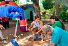 157 caninos y felinos recibieron dosis antirrábica en jornada de vacunación en Las Guacamayas