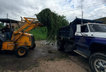 Alcaldía de Girardot despliega equipos de limpieza en zonas afectadas por lluvias