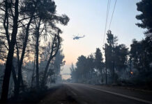 Bajo control el incendio que obligó a evacuar a más de 400 personas por mar en Grecia