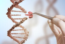 Bebés modificados antes de nacer: la tecnología que podría cambiar la reproducción humana