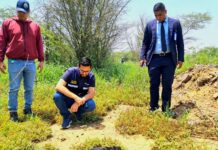 Buscan a sujetos que agredieron a un oso melero en Anzoátegui