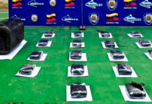 CPNB incauta más de 18 kilos de marihuana ocultos en un contenedor en Apure
