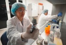 Científicos del IVIC desarrollan terapia de regeneración de piel basada en células madre