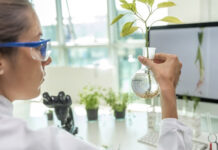 Científicos iraníes modifican bacterias para crear sistemas inteligentes en plantas