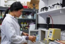 Científicos venezolanos desarrollan alimentos para animales con macroalga sargazo
