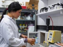 Científicos venezolanos desarrollan alimentos para animales con macroalga sargazo