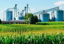 Confagan propone creación de mesas técnicas para diversificar la economía agroindustrial