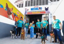 Construyen el primer albergue especializado del mundo para animales post sismo