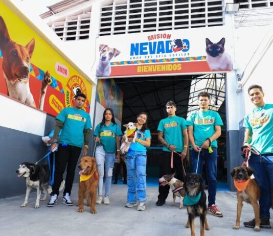 Construyen el primer albergue especializado del mundo para animales post sismo