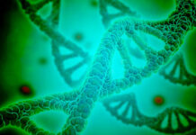 Crean unas moléculas fluorescentes que permiten ver el ADN a escala casi molecular