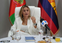Dina Castillo anuncia rebaja especial de 30 % en pago de Impuesto Inmobiliario y de Vehículos