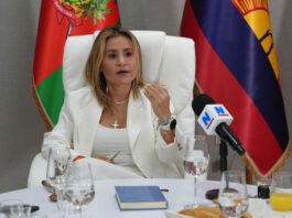 Dina Castillo anuncia rebaja especial de 30 % en pago de Impuesto Inmobiliario y de Vehículos