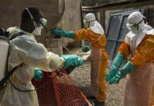 El Congo supera los 4.000 casos confirmados de ébola, incluidos 1.850 muertos