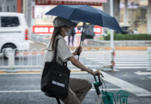 El Niño causará una de las peores temporadas de tifones del Pacífico, según estudio