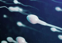 El desequilibro bacteriano en el semen puede ser un factor de riesgo de infertilidad